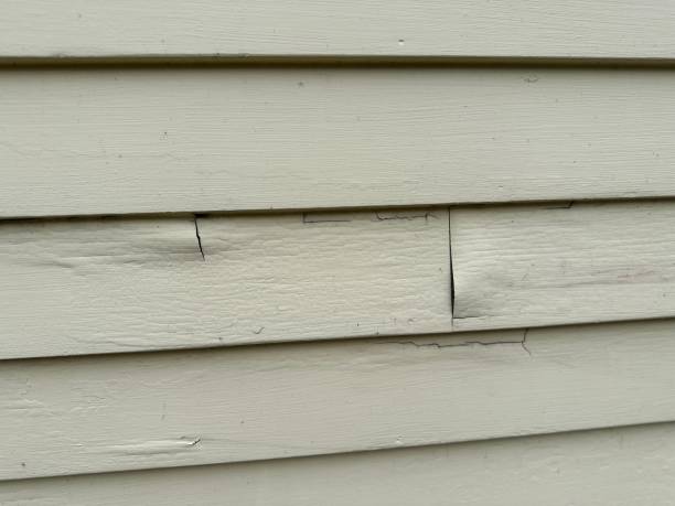 Best Siding Painting and Refinishing  in Prairieville, LA